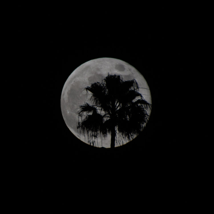 The Moon