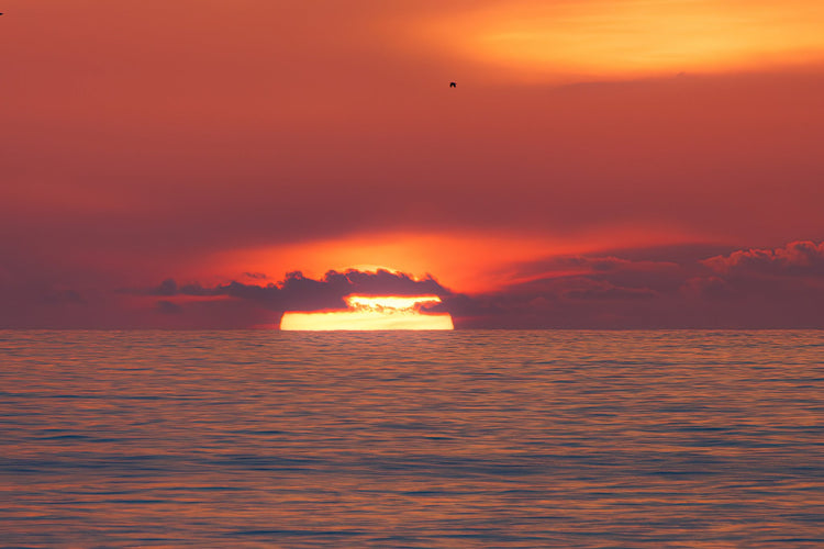 The Sun Horizontal