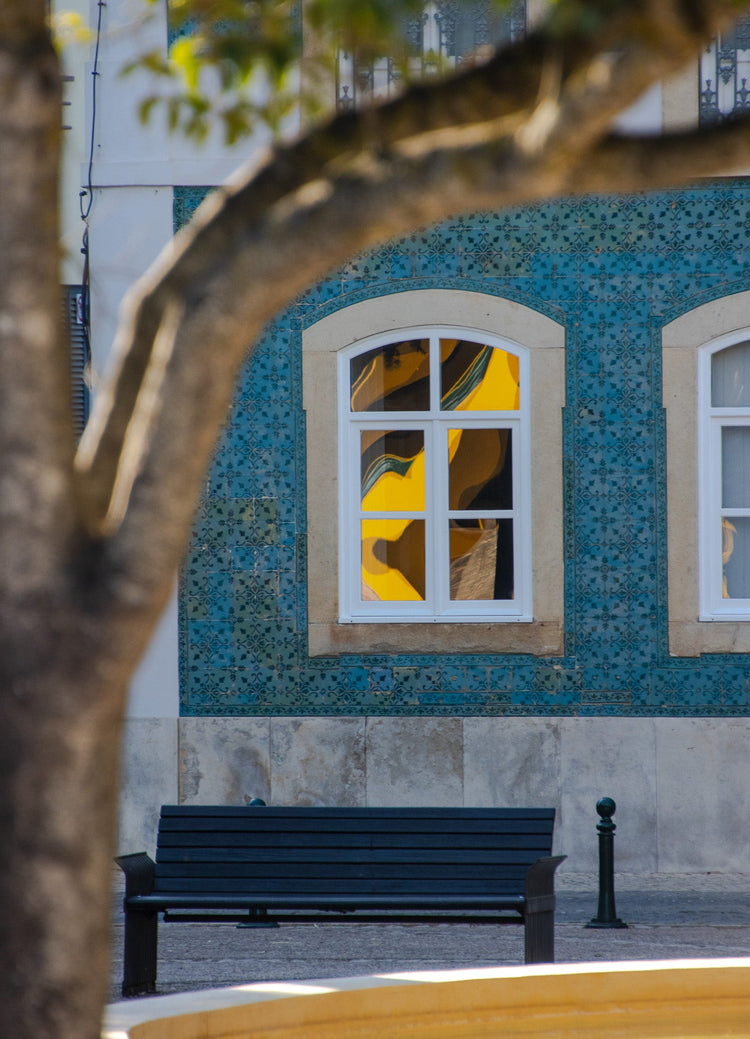 Doors & Windows