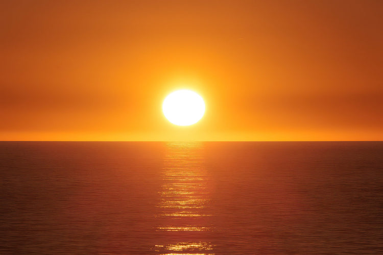 The Sun