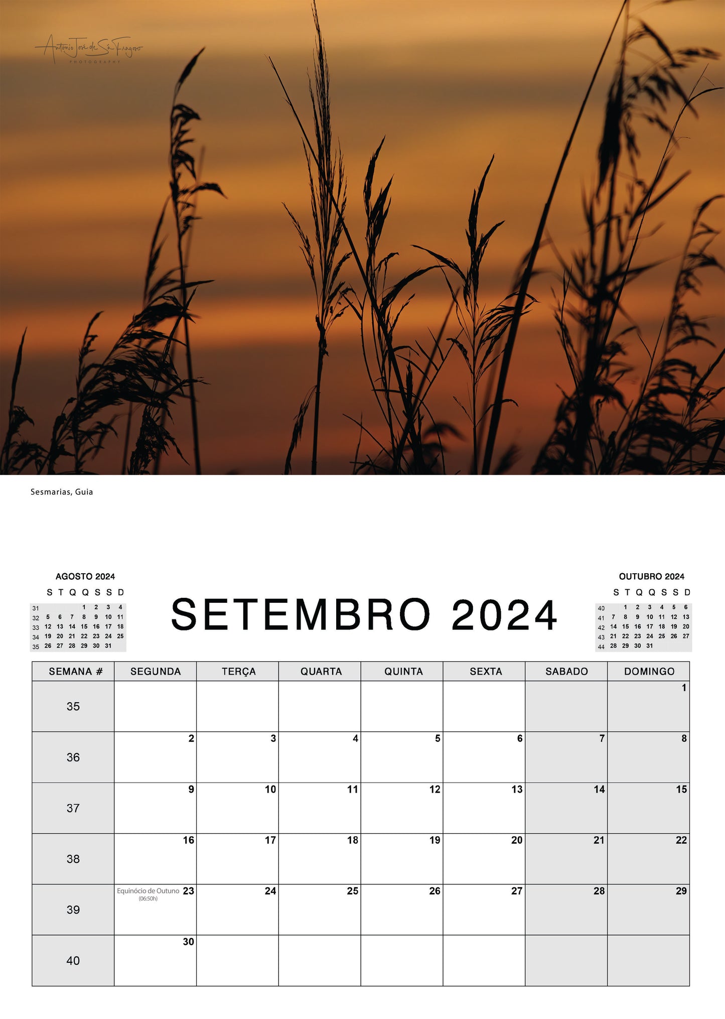 Calendar 2024