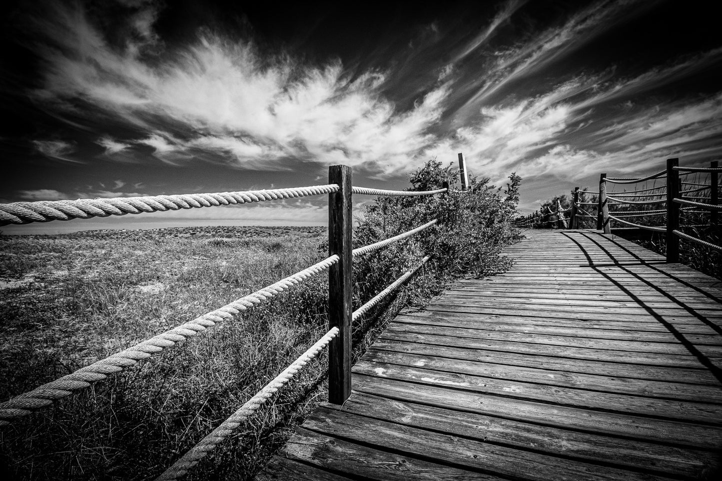 Salgados Walkway