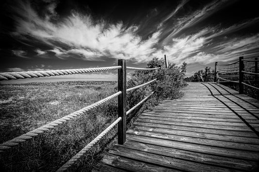 Salgados Walkway (Displayed Mounted on Canvas of 90x60)