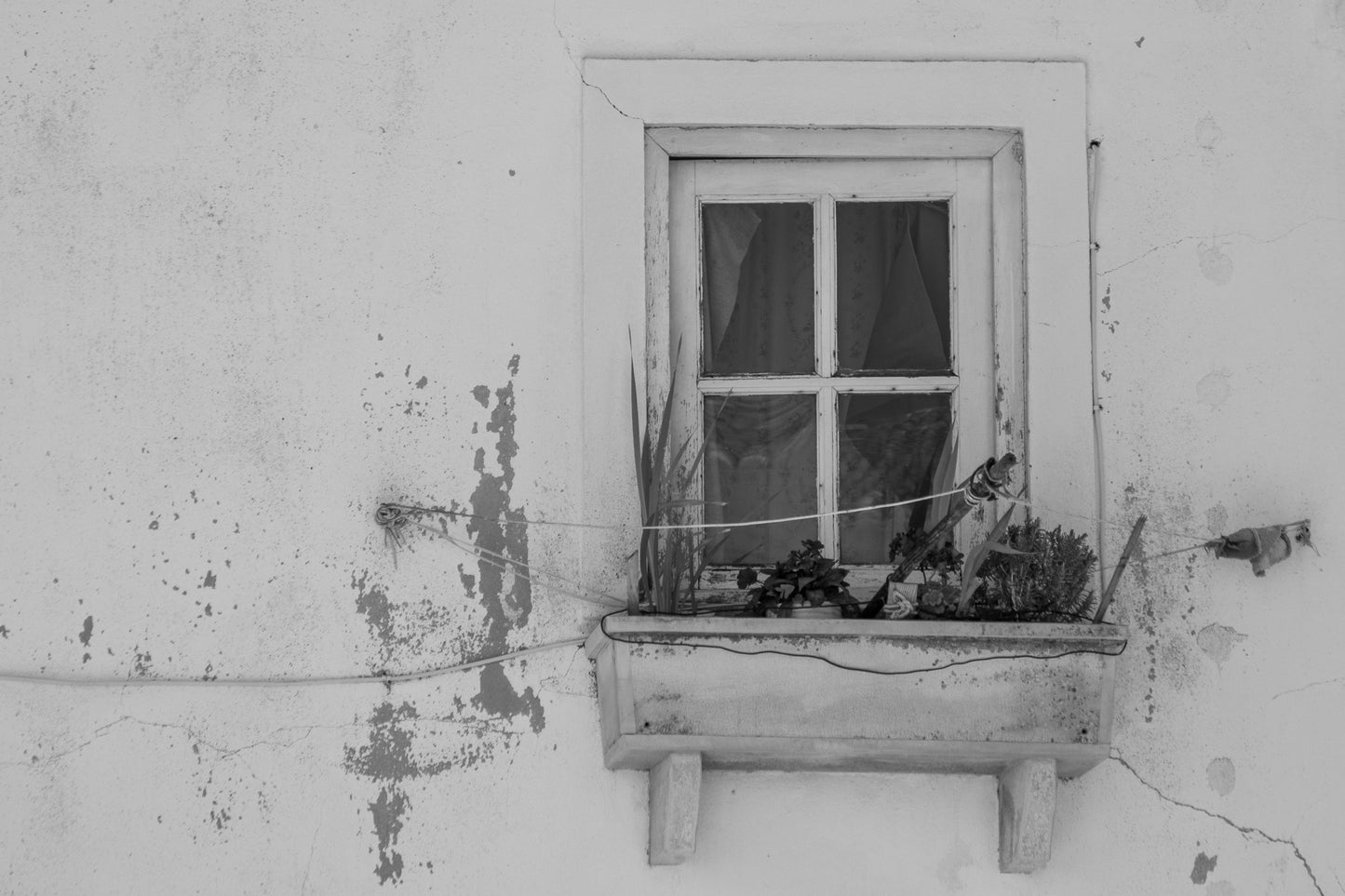 Algarvian Window