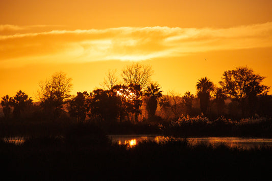 SunRise at Salgados (Displayed Framed 73x53)