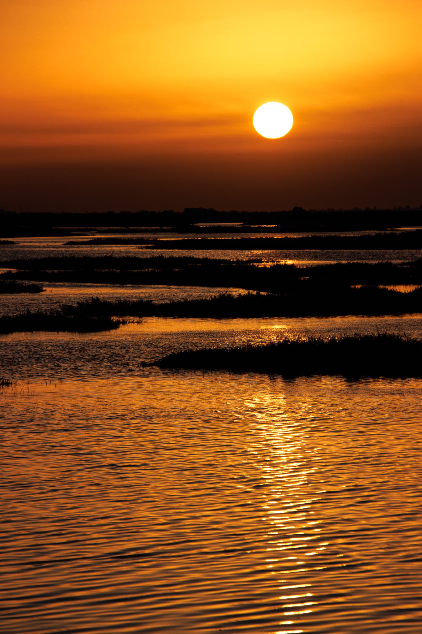 Sun Rise