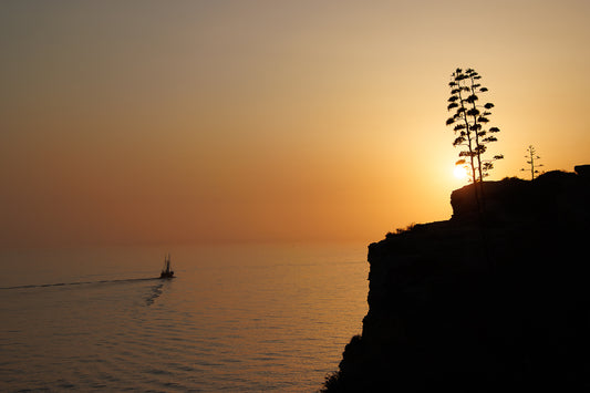 Sailing Away, Carvoeiro (Displayed Framed 73x53)