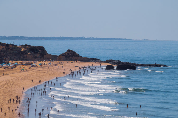 Shores Horizontal