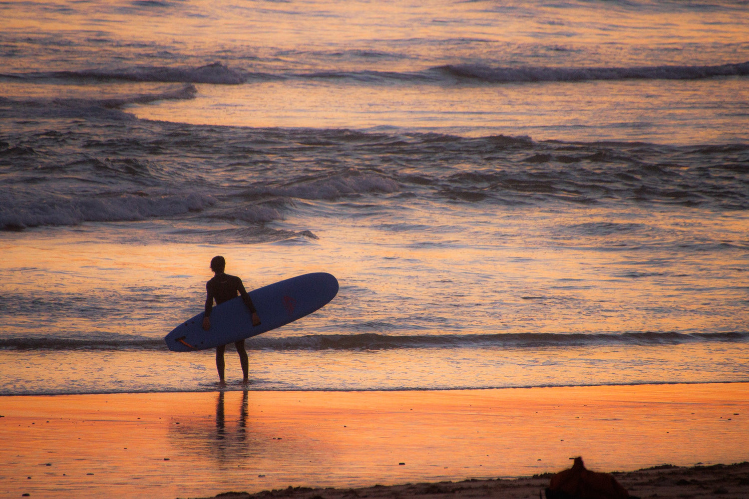 Surf Life