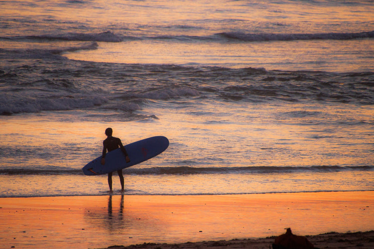 Surf Life