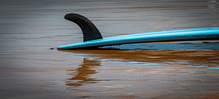 Surf Albufeira Club logo