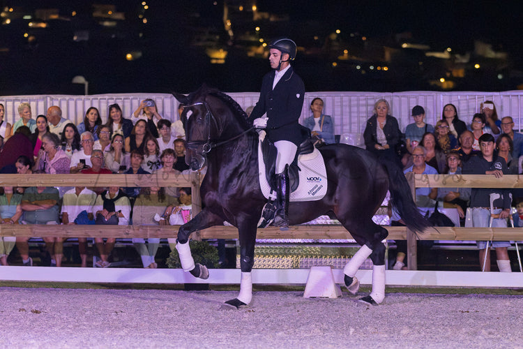 Horse Riding Academy - Dressage Single