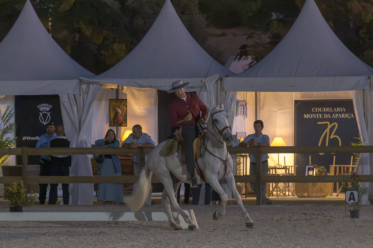 Working Equitation Dressage
