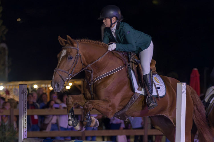 Horse Riding Academy - Show Jumping