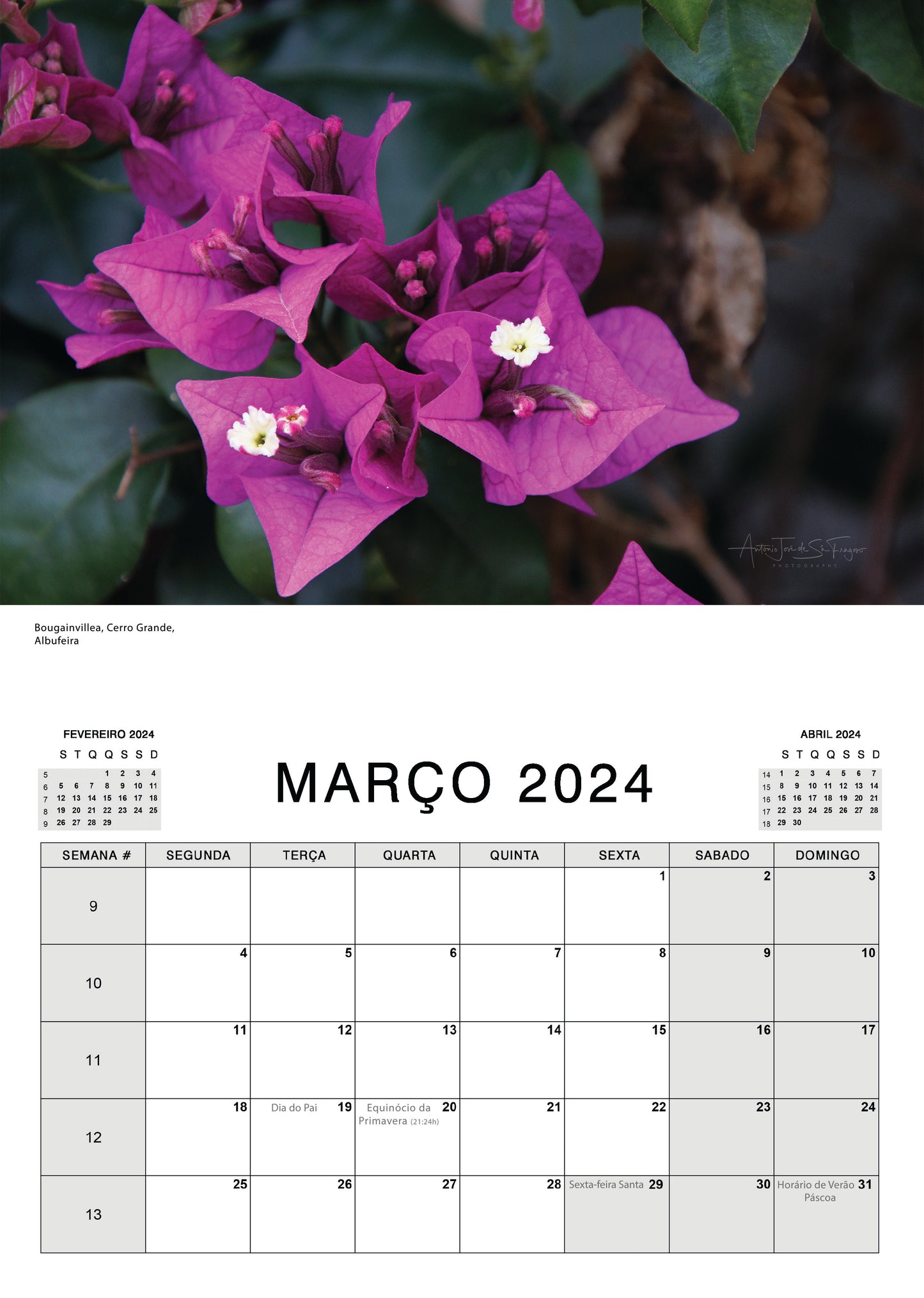 Calendar 2024