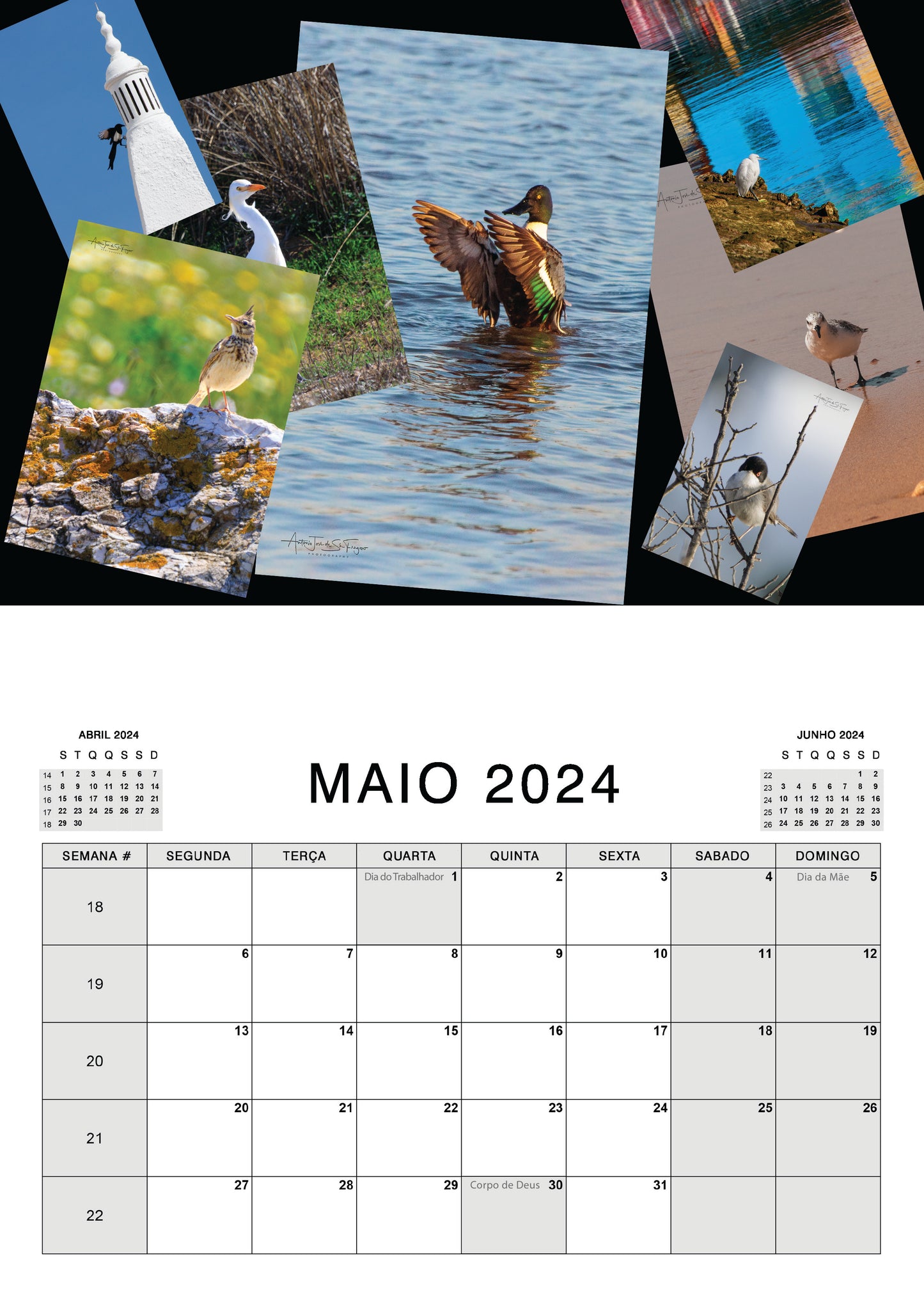 Calendar 2024