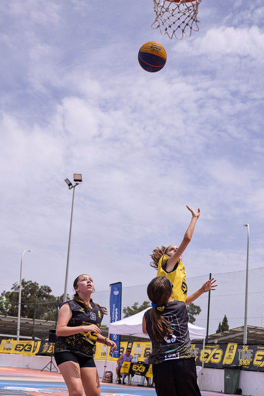 Elite do Basquete