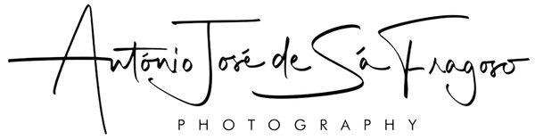 ToyaGrafia