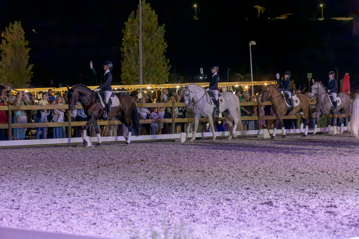 A night equestrian scene in an arena with several riders on horseback, including a prominent rider on a dark brown horse raising a wave. Spectators are visible behind a fence in the background under stadium lights.