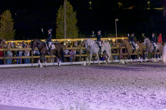 A night equestrian scene in an arena with several riders on horseback, including a prominent rider on a dark brown horse raising a wave. Spectators are visible behind a fence in the background under stadium lights.