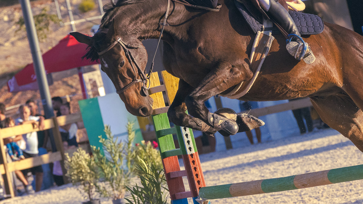 A brown horse in full jump motion during an outdoor equestrian event, with a rider on its back and colorful jump standards in the blurred background.