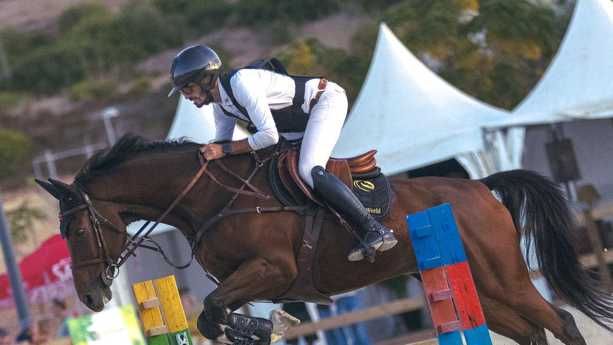 A horse rider in equestrian competition attire jumps a brown horse over a colorful obstacle in an outdoor arena, with white tents and trees in the background.