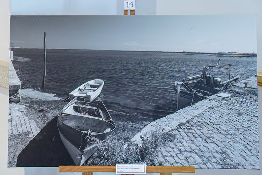 Ria Formosa Reserve (Displayed Mounted on Canvas 80x50)