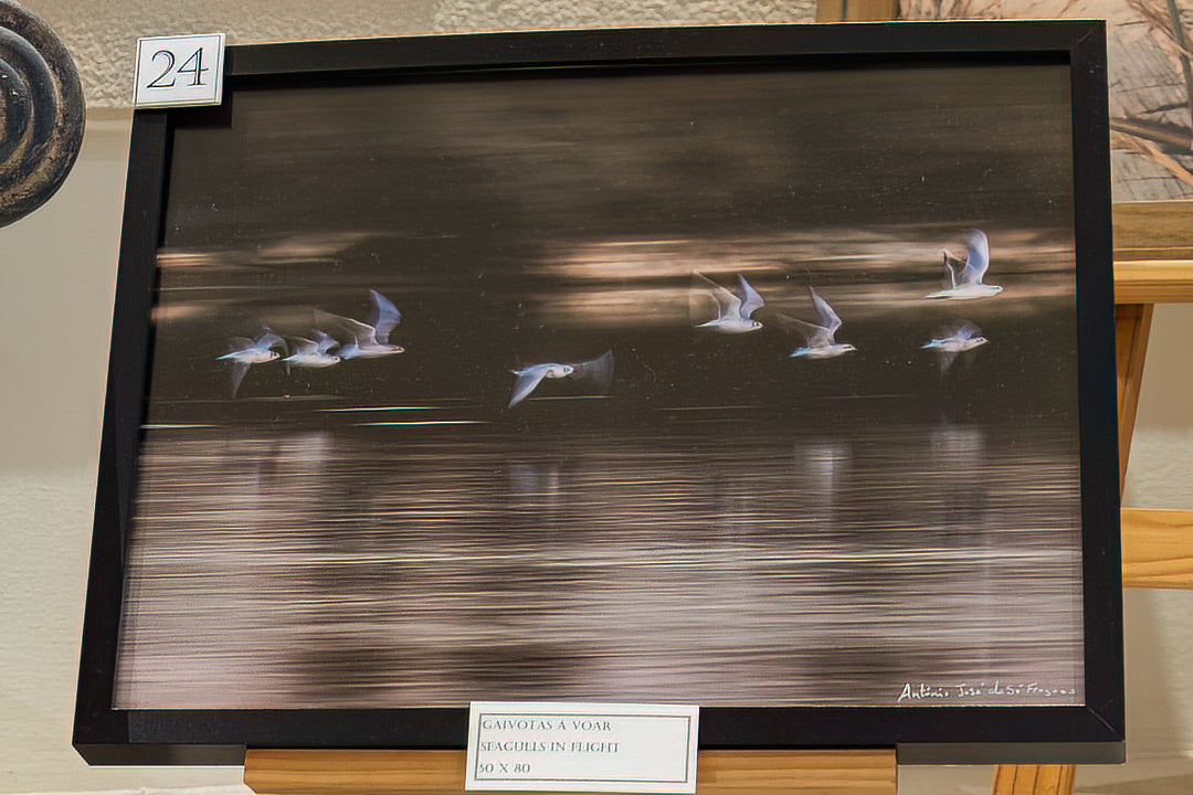 Seagulls in Flight (Displyed Framed 40x30)