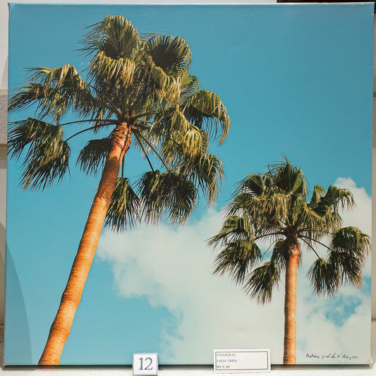 Palm Trees (Displayed on Canvas 60x60)