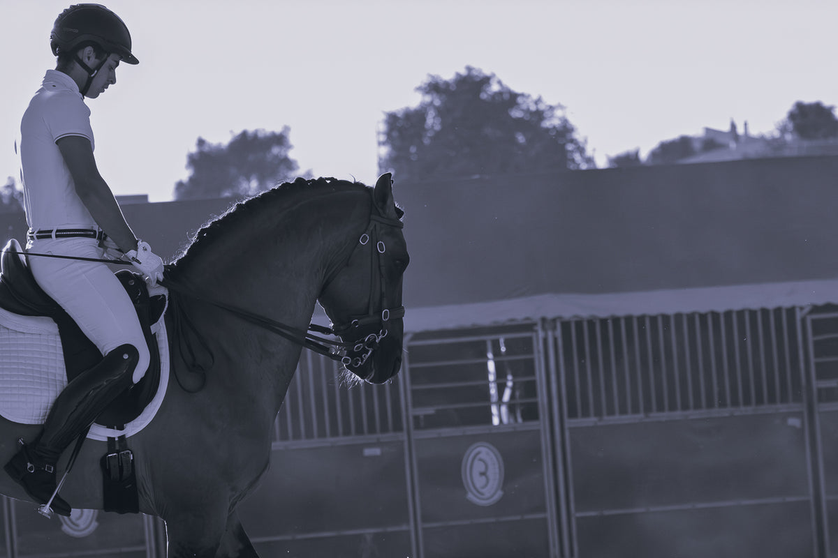 A rider in white equestrian attire sits on a dark horse in an outdoor stable area at dusk, with stable doors and trees visible in the background.