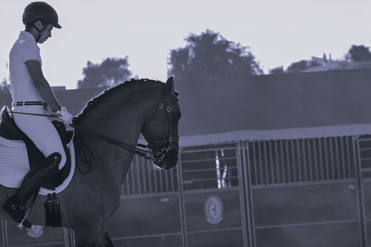 A rider in white equestrian attire sits on a dark horse in an outdoor stable area at dusk, with stable doors and trees visible in the background.