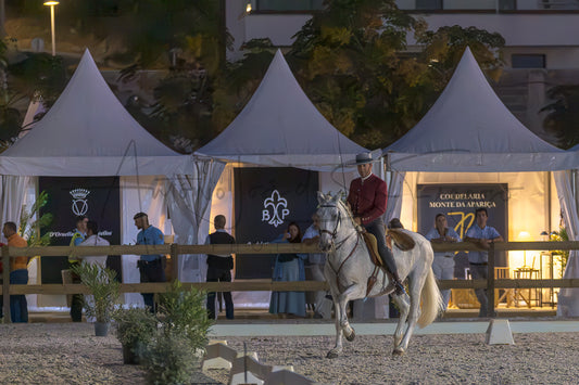 A white horse with a rider in formal equestrian attire rides across a sandy arena in front of large white event tents at night. Several people stand and sit inside the tents, and illuminated signs are visible behind the fence.