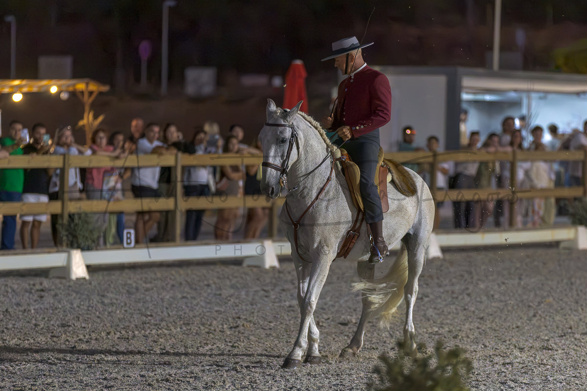 A man in a portuguese hat, burgundy shirt, and dark pants rides a white horse in an outdoor arena at night, with spectators visible behind a wooden fence in the background.