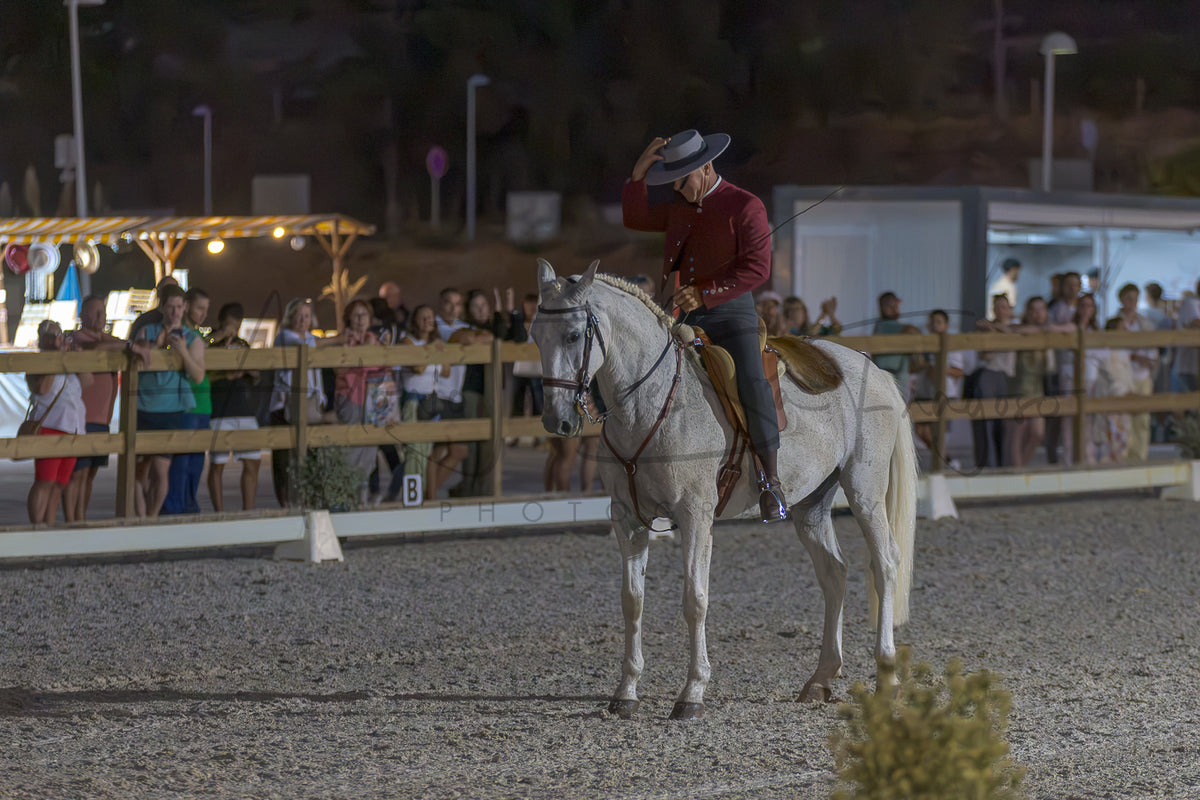 A person in a portugueses traditional radding attire a  and red shirt rides a white horse in an outdoor arena at night, with spectators visible behind fences in the background.