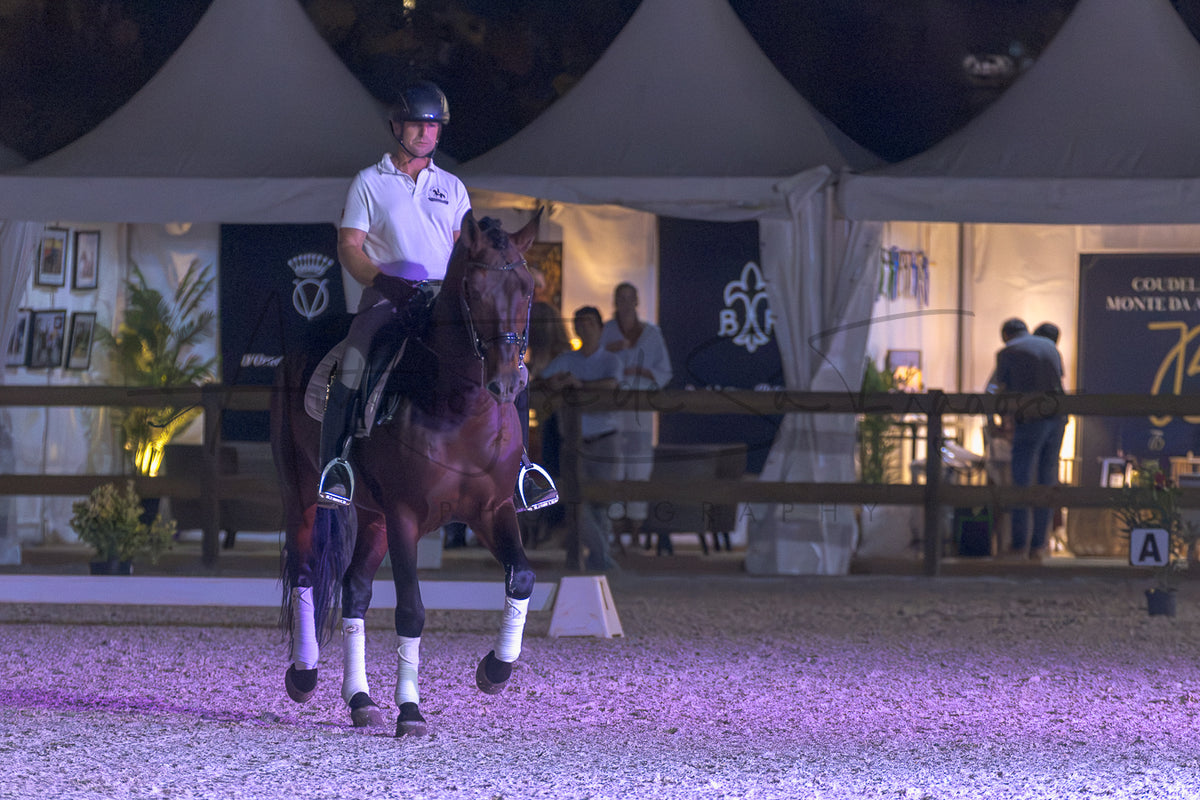 A horse rider on a dark brown horse during an equestrian event at night in an arena, with white tents and spectators in the background.