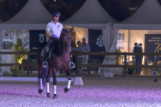 A horse rider on a dark brown horse during an equestrian event at night in an arena, with white tents and spectators in the background.