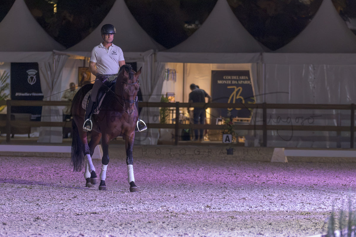 A rider on a dark brown horse stands in an indoor equestrian arena at night under white event tents. The horse wears white leg wraps, and the ground is lit with a pinkish-purple glow.
