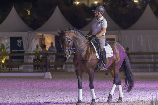 A rider in equestrian attire sits on a dark brown horse inside an outdoor riding arena at night under artificial lighting, with white tents visible in the background.