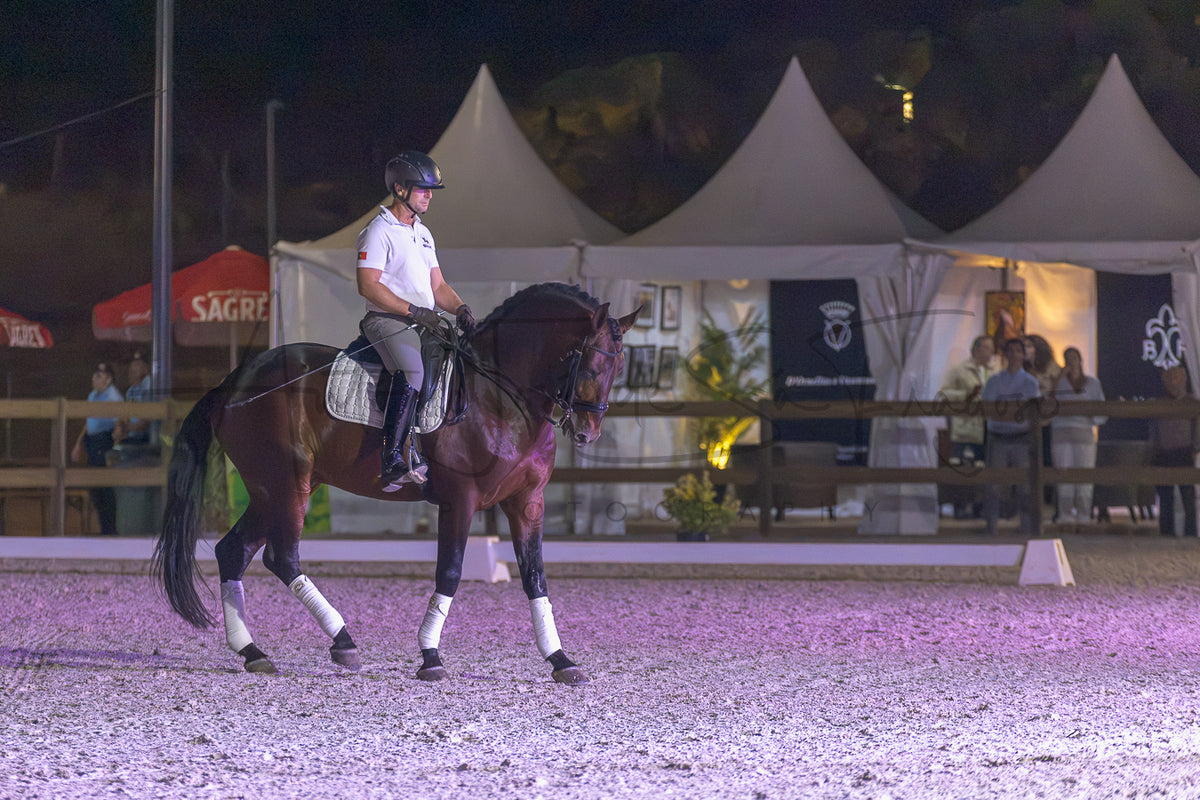 A rider on a dark brown horse with white leg wraps rides in an equestrian arena at night under event lighting, with white tents and spectators in the background.
