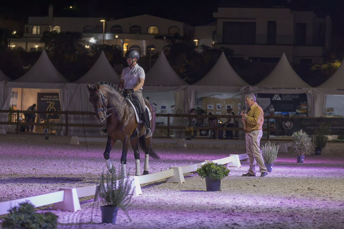 A horse rider on a brown horse in an equestrian arena at night, with a judge standing nearby. The arena is illuminated by purple lighting, and white tents are visible in the background.
