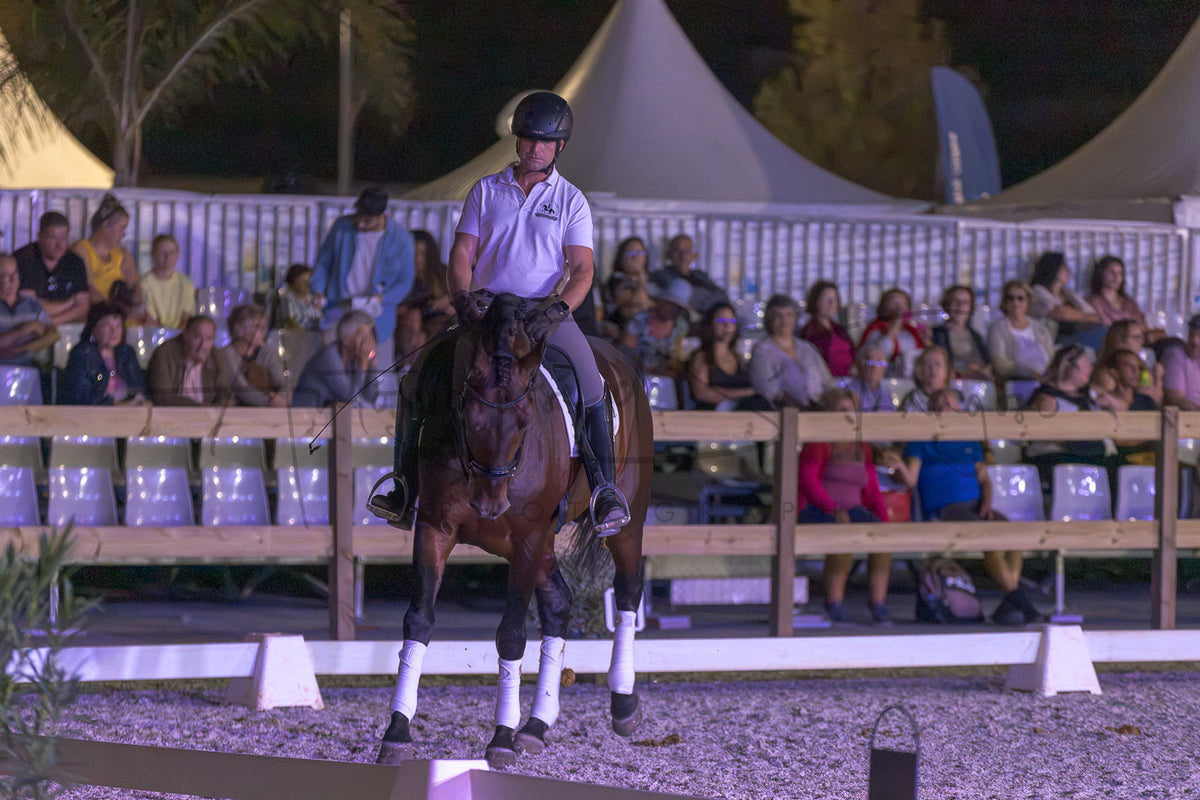 A rider in equestrian attire sits on a dark brown horse during a night event, with spectators seated behind a wooden barrier and tents in the background.