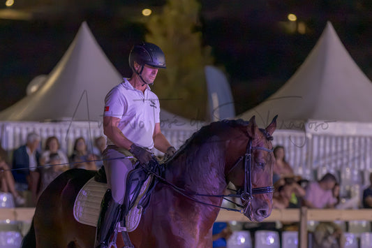 A rider in a white polo shirt and riding breeches sits on a dark brown horse inside an indoor equestrian arena at night, with tents and spectators visible in the background.