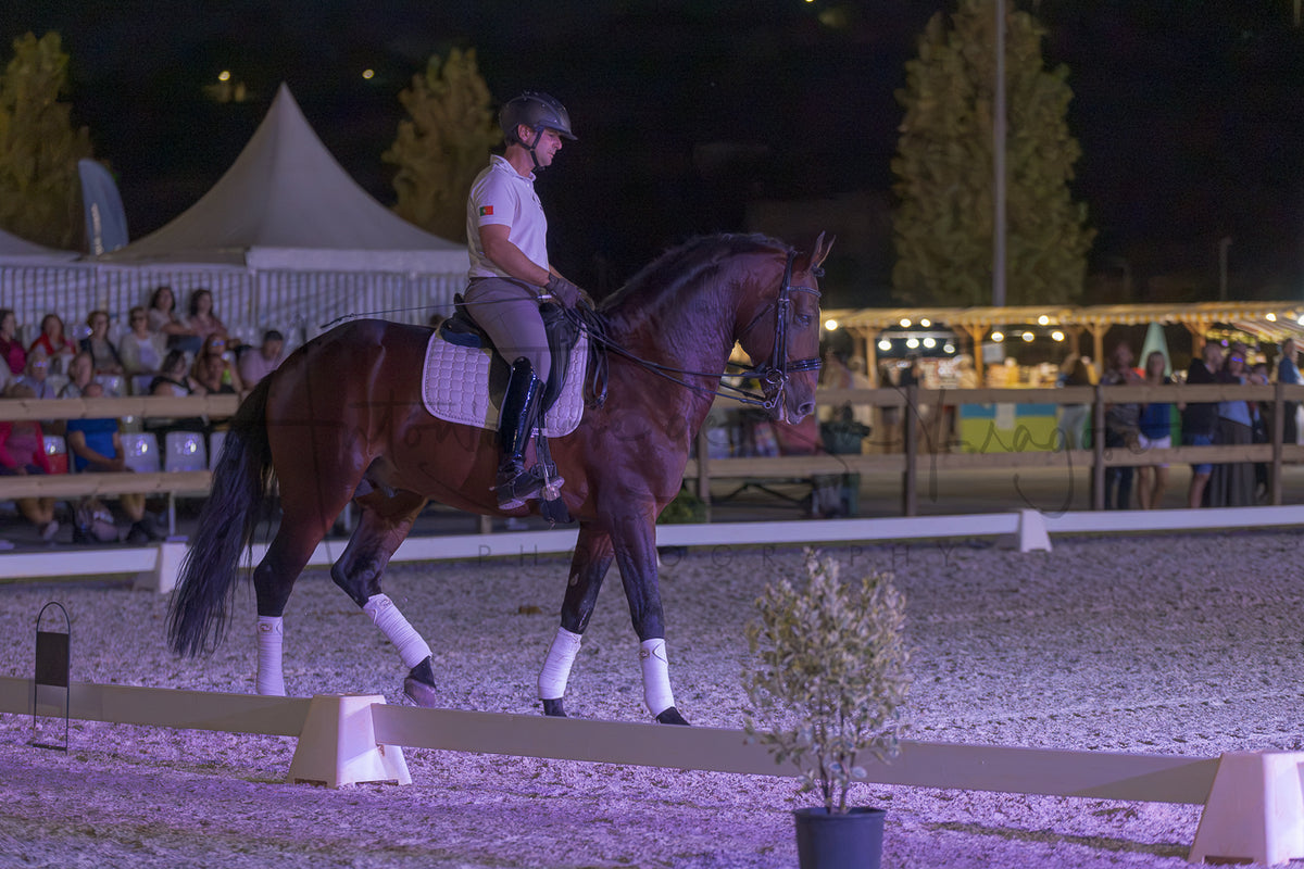 A rider on a dark brown horse performing in an outdoor night equestrian arena, with spectators and tents visible in the background.