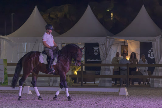 A rider on a dark brown horse walking in an equestrian arena at night, with white event tents and seated spectators in the background.