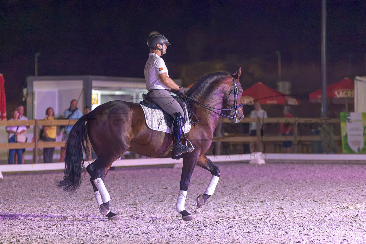A rider on a dark brown horse during an equestrian event at night in an indoor arena, with spectators and tents visible in the background.