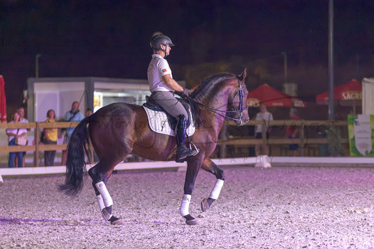 A rider on a dark brown horse during an equestrian event at night in an indoor arena, with spectators and tents visible in the background.