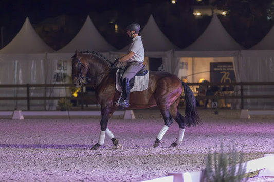 A rider on a dark brown horse during an evening equestrian event, with white tents and arena lighting visible in the background.