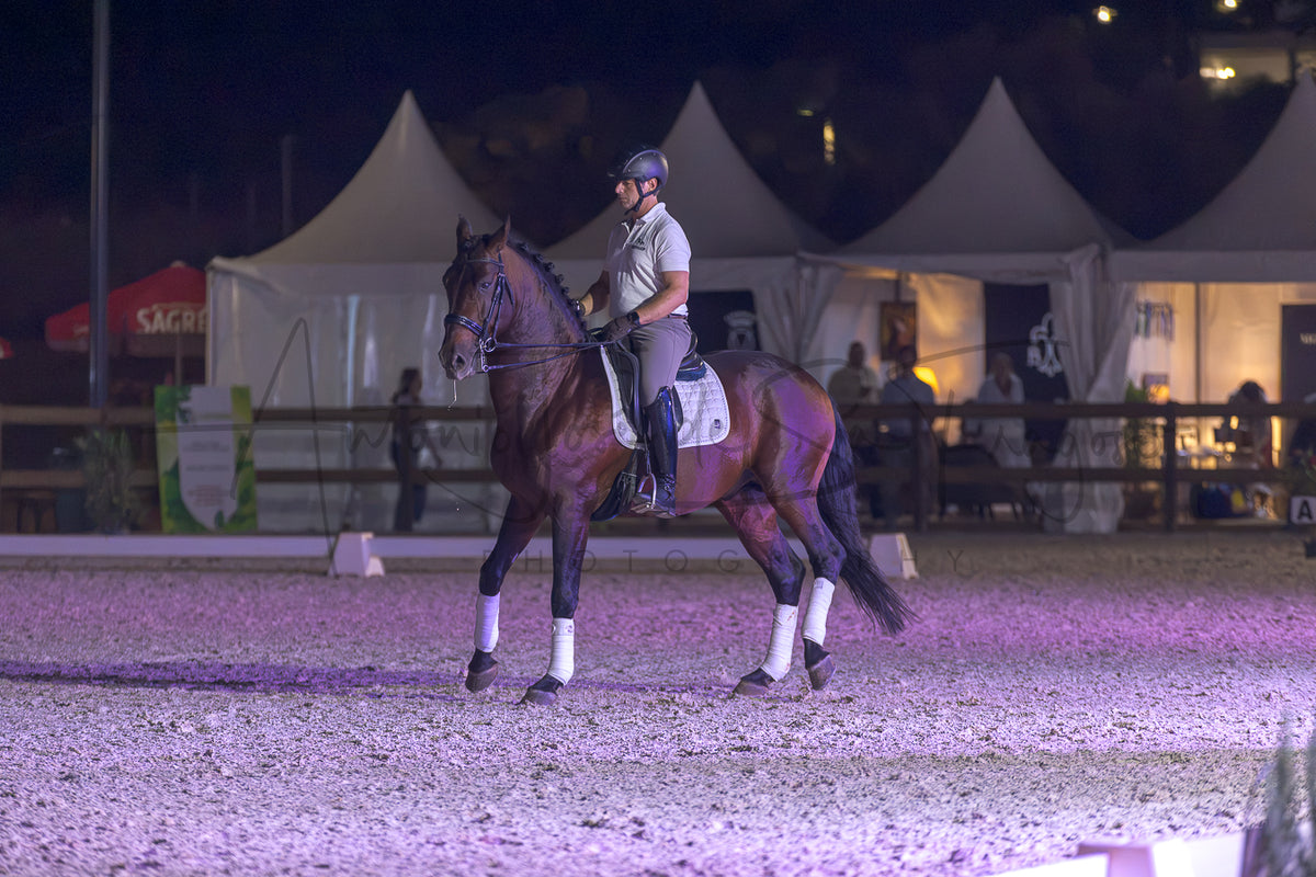 A dark brown horse with white leg wraps is being ridden by a person in equestrian attire inside an outdoor riding arena at night under purple lighting, with event tents visible in the background.