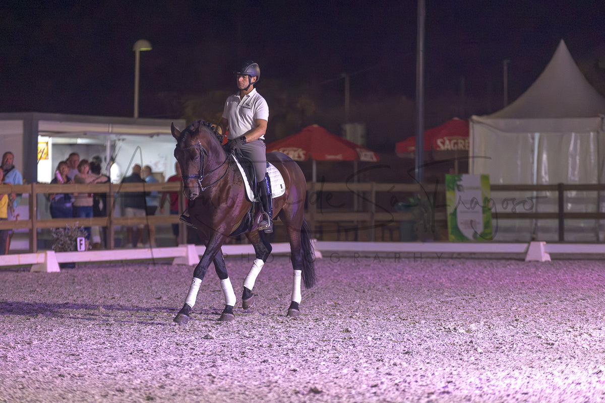 A rider on a dark brown horse walking in an equestrian arena at night under artificial lighting. Spectators are visible in the background behind fences and tents.