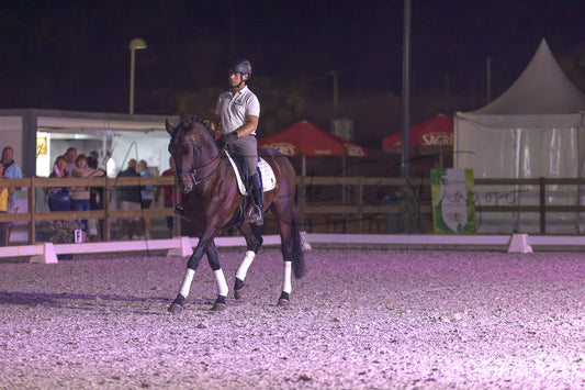 A rider on a dark brown horse walking in an equestrian arena at night under artificial lighting. Spectators are visible in the background behind fences and tents.